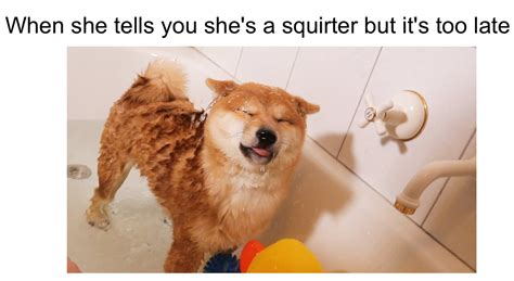 funny squirt memes|Best Funny squirting Memes .